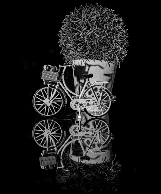 Best Junior Set Subject of the Month